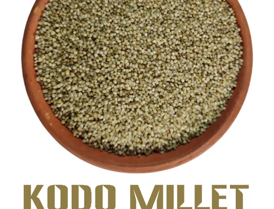 RC Morris Report and Kodo Millet